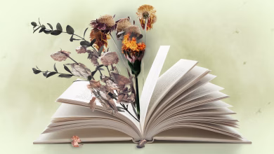 الخيال المناخي والروايات العلمية