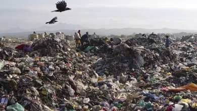 عمال جمع القمامة يبحثون عن أشياء ذات قيمة في مكب نفايات مليء بالبلاستيك