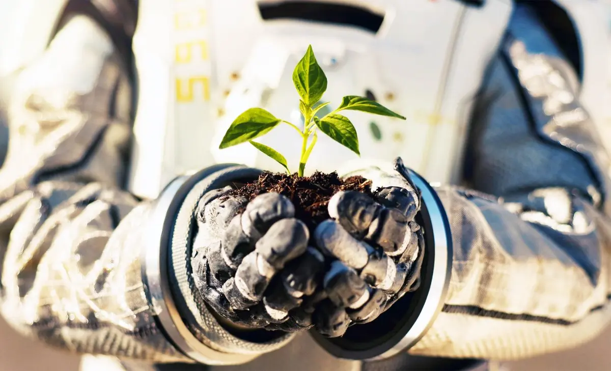 خطط ناسا لزراعة نباتات مغذية على المريخ