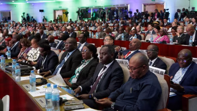 قمة الطاقة الأفريقية في دار السلام، تنزان