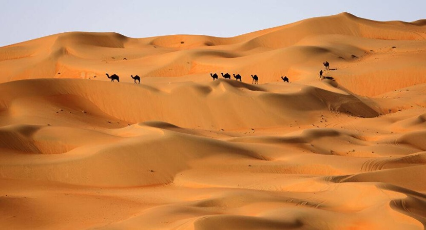 صحراء شبه الجزيرة العربية