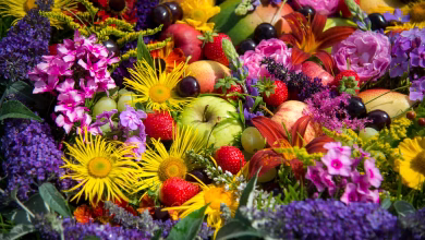 الفواكه وأنواع من الزهور تقلل من تأثيرات الجسيمات البلاستيكية الضارة