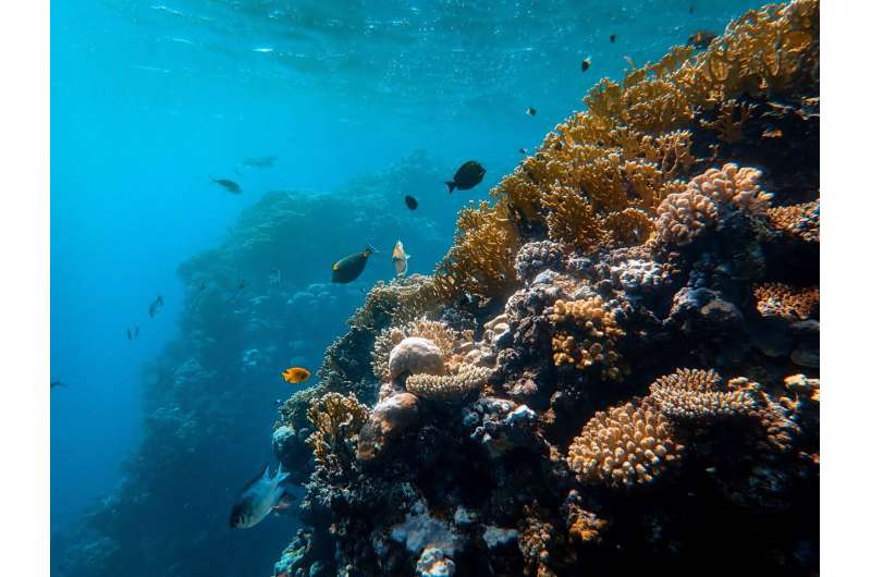 نقاط التحول المناخية