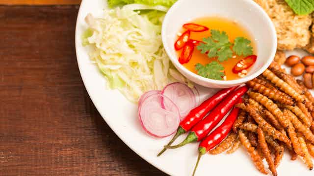 بروتين الحشرات