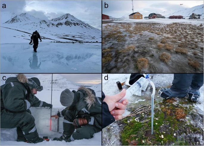 لقطات من حدث ذوبان الجليد في فبراير 2025 في ني أليسوند، سفالبارد