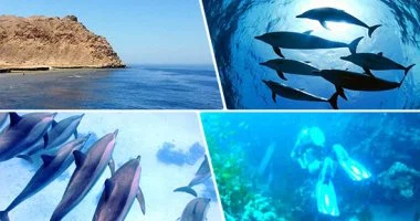 محمية الجزر الشمالية بالبحر الأحمر
