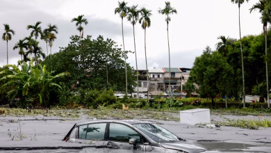 أثار إعصار راجاسا في تايوان