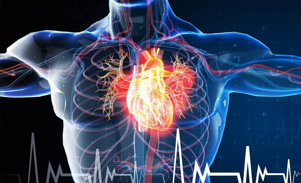 أمراض القلب وعلاقتها ببكتيريا الفم