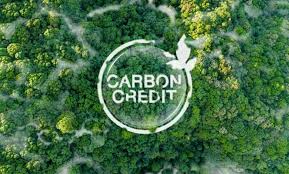 أرصدة الكربون