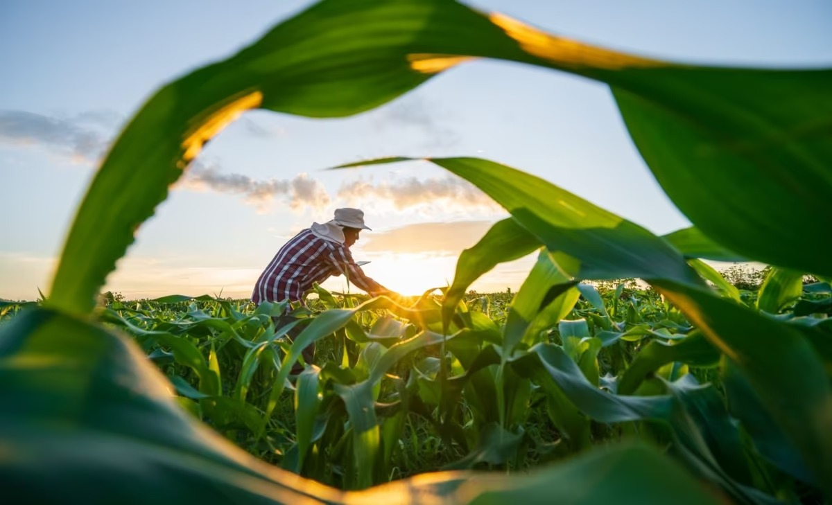 الزراعة الحديثة