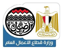 تقرير رسمي يكشف تراجع عدد الشركات المملوكة للدولة