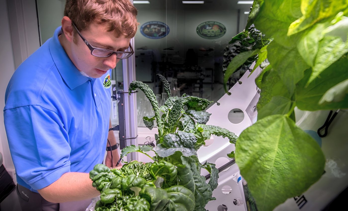 المحاصيل المزروعة في الفضاء