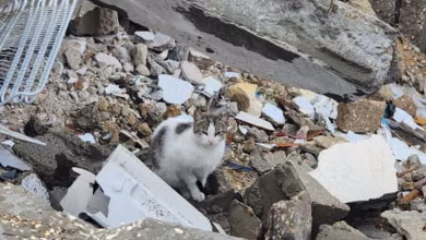 الدمار في كل مكان في غزة