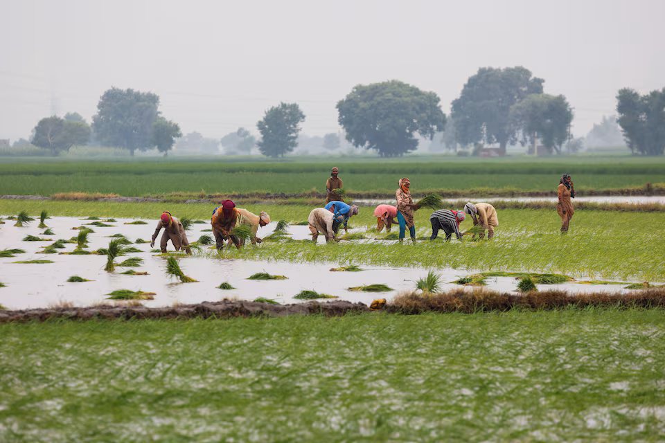 الطاقة الشمسية تنقذ المزارعين في باكستان… لكنها تدفع البلاد إلى كارثة مائية