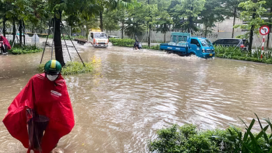 ارتفاع حصيلة ضحايا الإعصار "بوالوي" في فيتنام