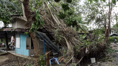 تايلاند تُكافح آثار الفيضانات والانهيارات الأرضية