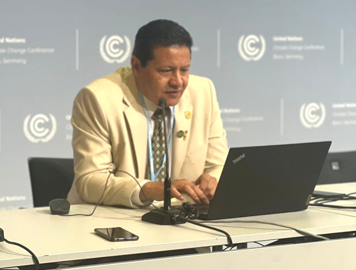 مصطفى الشربيني