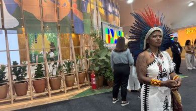 السكان الأصليين ومشاركات في كوب 30