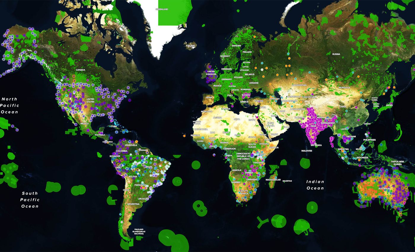 مشروعات الحفظ البيئي تتلاشى بصمت
