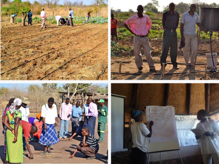 الاستيلاء الأخضر