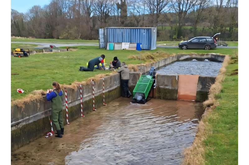 الابتكار الصديق للأسماك قد يحول حواجز الأنهار إلى محطات طاقة خضراء