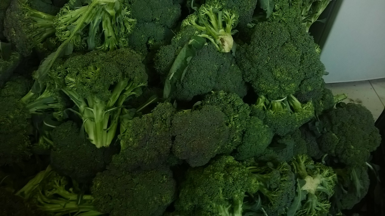 لرؤوس بروكلي طازجة موضوعة داخل عبوات تخزين نظيفة