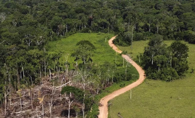 حماية الغابات الاستوائية