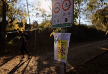 اكتشاف المزيد من حالات حمى الخنازير في الاتحاد الأوروبي