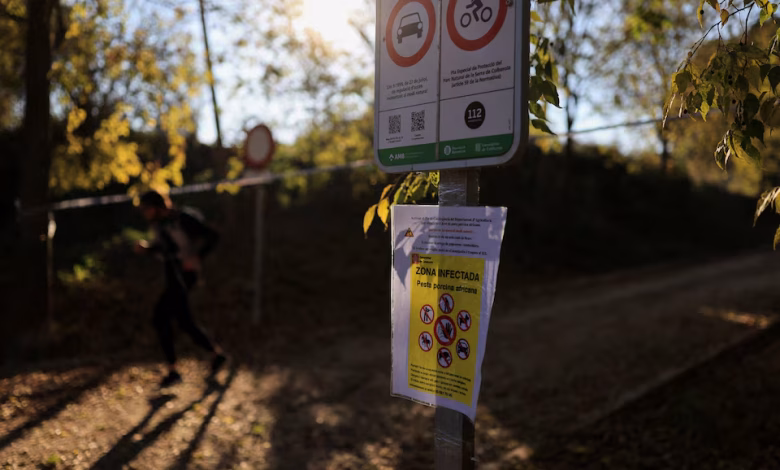 اكتشاف المزيد من حالات حمى الخنازير في الاتحاد الأوروبي