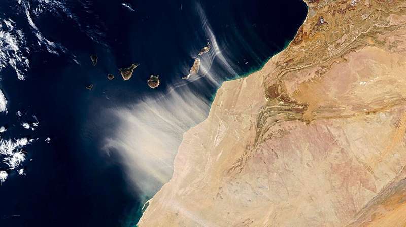 اليوريا سر بقاء الميكروبات البحرية