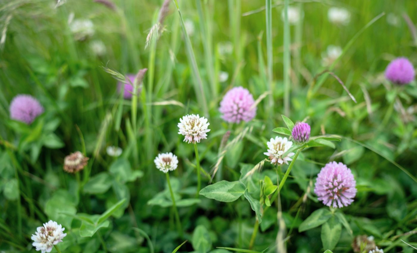 نظام زراعي مبتكر