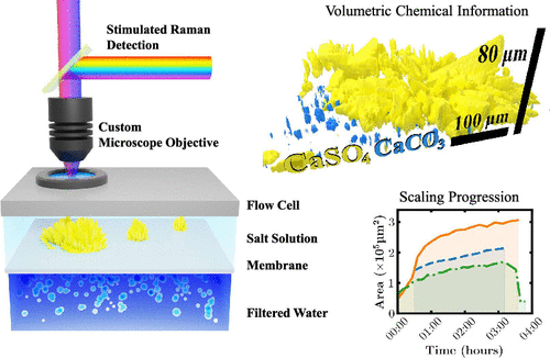 تلوث الأغشية