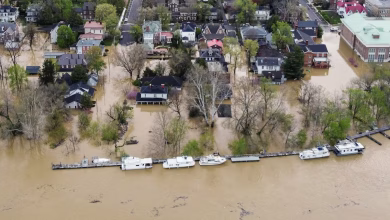 بصمة واضحة للتيار النفاث