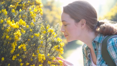 ن الهدف ليس تصنيف الروائح علميًا، بل تسميتها ومنحها معنى في حياة الناس اليومية