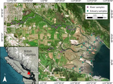 التوزيع المكاني لوحدات أخذ عينات الرواسب المأخوذة من مواقع الأنهار والمصبات