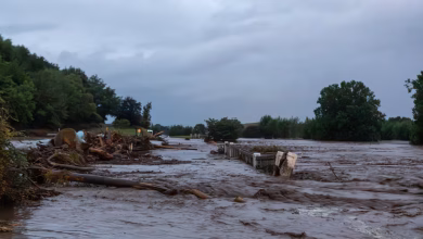 تسببت أمطار غزيرة ورياح قوية في اضطراب الرحلات الجوية وحركة القطارات والعبّارات