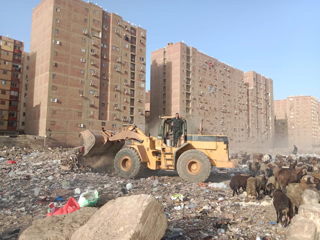 حملة ميدانية مشتركة لإزالة مخلفات ورصد مصادر التلوث البيئي بحي الطالبية بمحافظة الجيزة