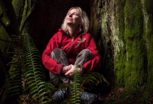 حماية الغابات وإدارتها بطريقة مستدامة يمكن أن تلعب دورًا محوريًا في مواجهة تغير المناخ.