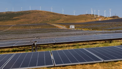 ألواح طاقة شمسية وتوربينات رياح في مشهد يعكس التحول للطاقة النظيفة