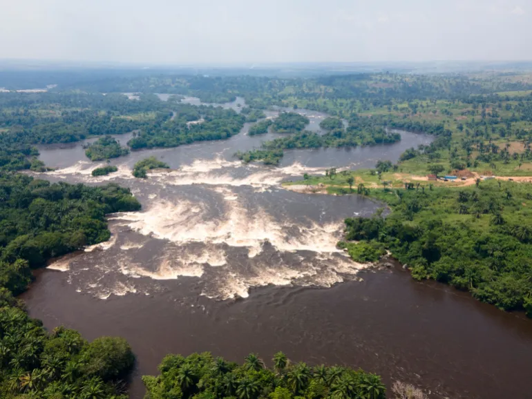 مستنقعات "كوفيت سنترال" في الكونغو لمتابعة إطلاق الكربون القديم