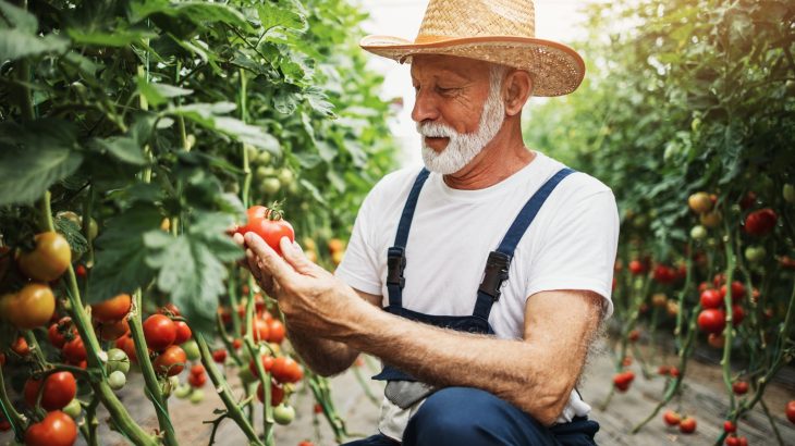 العمل في الحديقة