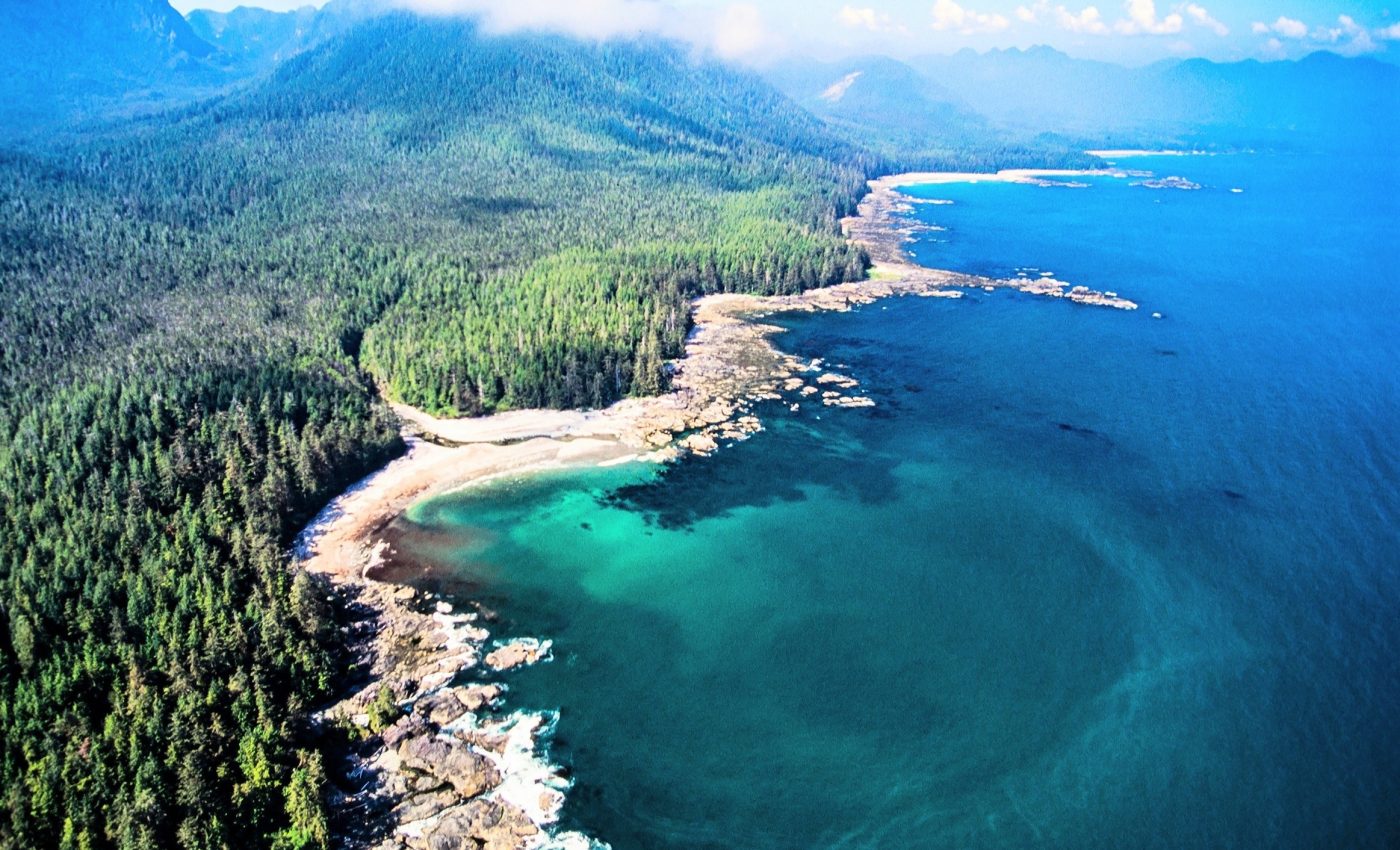 رقعة النفايات في المحيط الهادئ تحتضن عشرات الكائنات