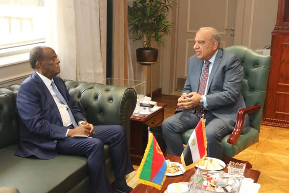 مصر وإريتريا تبحثان تعزيز التعاون في الطاقة المتجددة والكهرباء