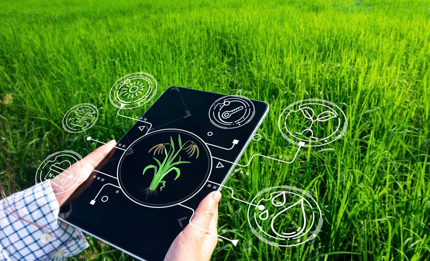 مزرعة رقمية ثلاثية الأبعاد تعرض محاكاة لمحاصيل وبيانات زراعية على شاشات رقمية حديثة