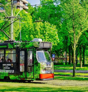 مسارات الترام الخضراء