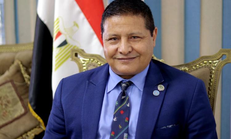السفير مصطفى الشربيني
